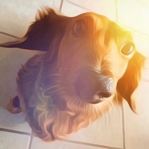 Meet your Posher, Erick